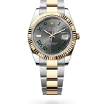 Datejust 41 - M126333-0019