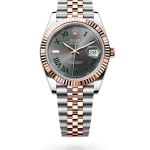 Datejust 41 - M126331-0016