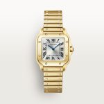 SANTOS DE CARTIER saat