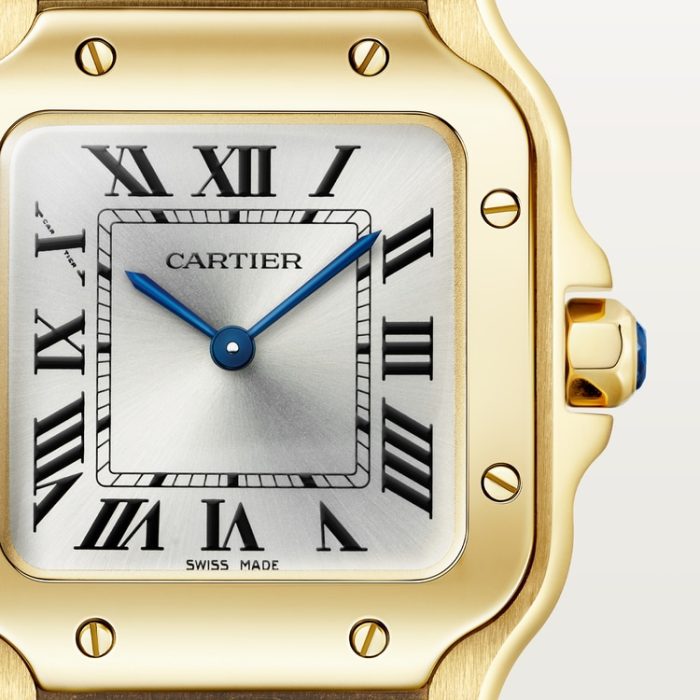 SANTOS DE CARTIER saat - Görsel 6