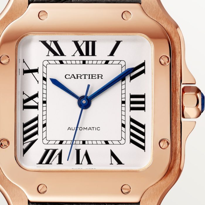SANTOS DE CARTIER saat - Görsel 5