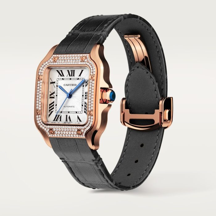 SANTOS DE CARTIER saat - Görsel 4