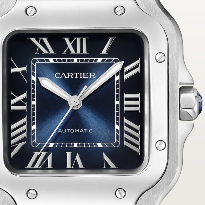 SANTOS DE CARTIER saat - Görsel 8