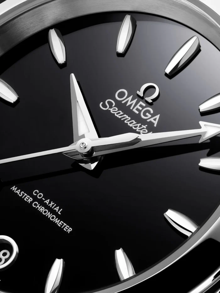 Seamaster Aqua Terra - Görsel 3