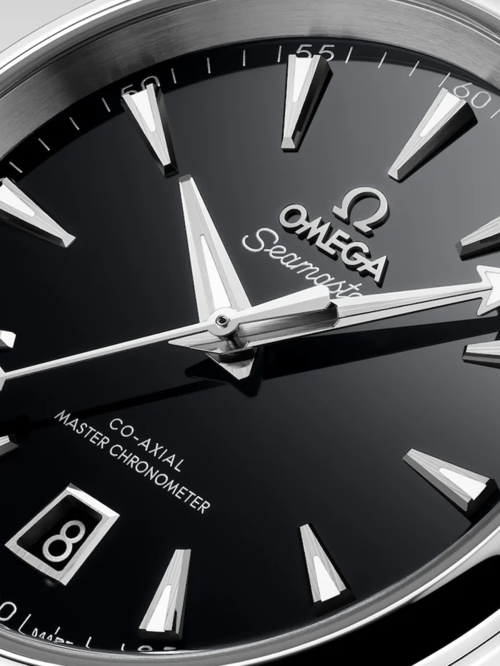 Seamaster Aqua Terra - Görsel 2
