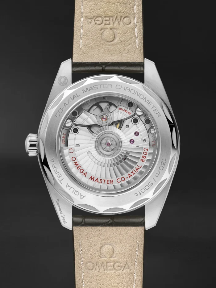 Seamaster Aqua Terra - Görsel 2