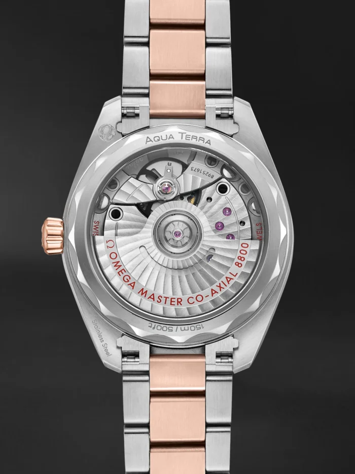 Seamaster Aqua Terra - Görsel 3