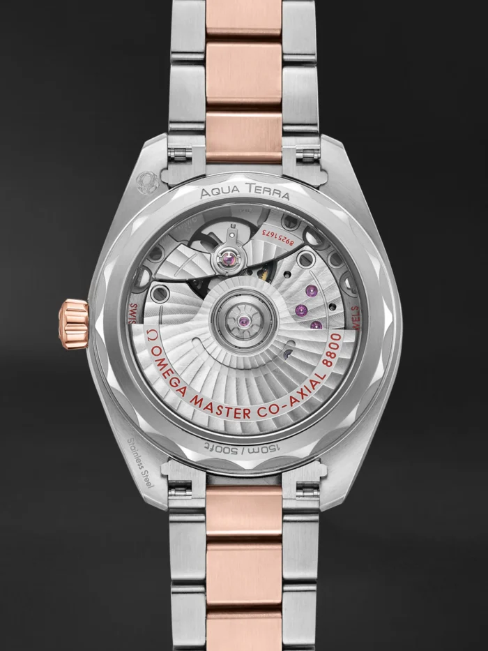 Seamaster Aqua Terra - Görsel 4