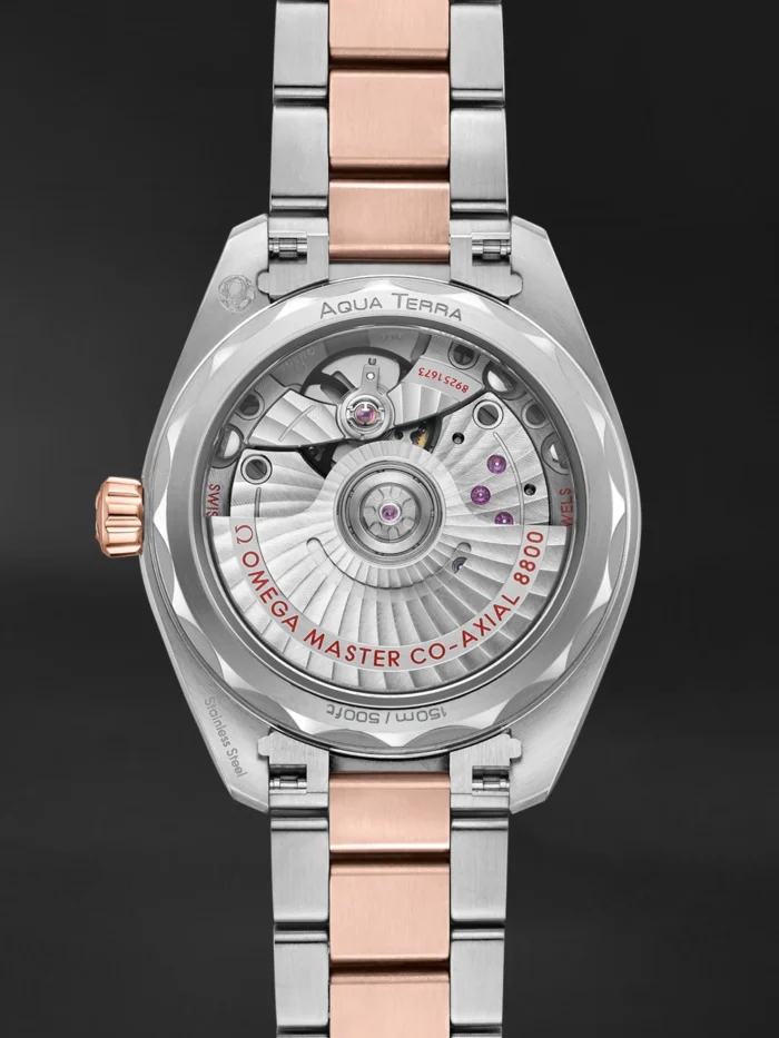 Seamaster Aqua Terra - Görsel 4