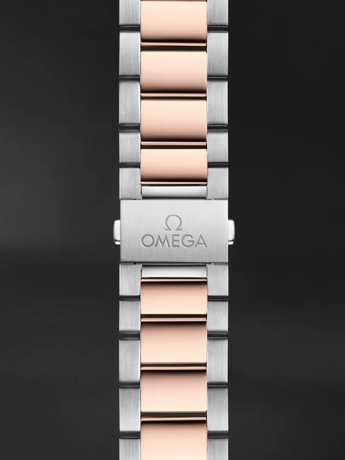 Seamaster Aqua Terra - Görsel 2