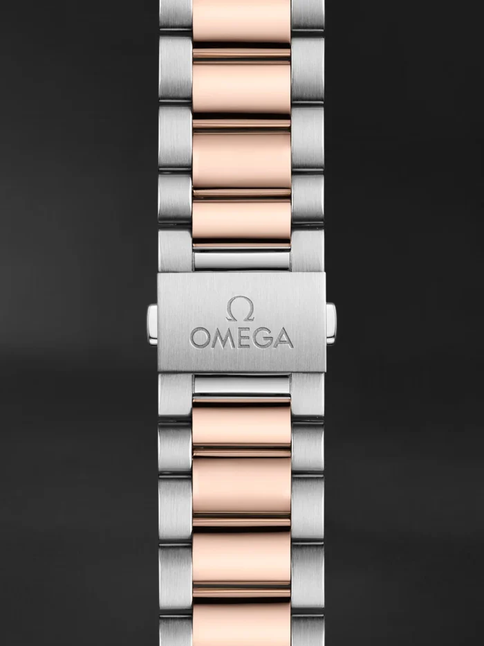 Seamaster Aqua Terra - Görsel 2
