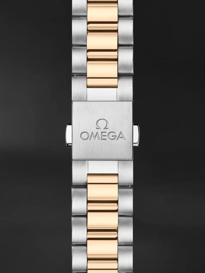 Seamaster Aqua Terra - Görsel 2