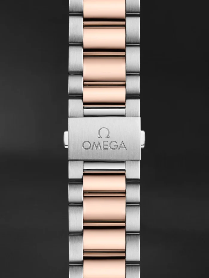 Seamaster Aqua Terra - Görsel 2