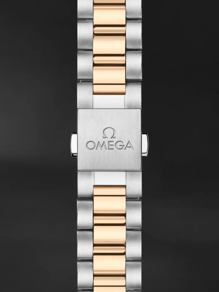 Seamaster Aqua Terra - Görsel 2