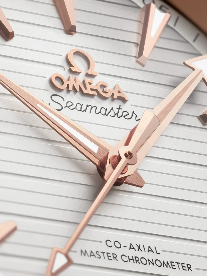 Seamaster Aqua Terra - Görsel 3
