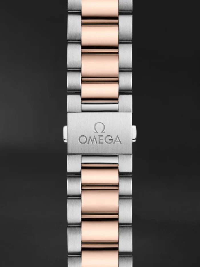 Seamaster Aqua Terra - Görsel 5