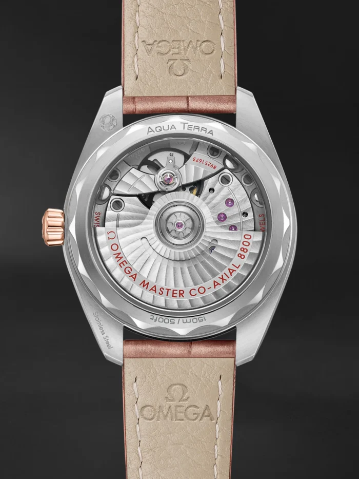 Seamaster Aqua Terra - Görsel 2