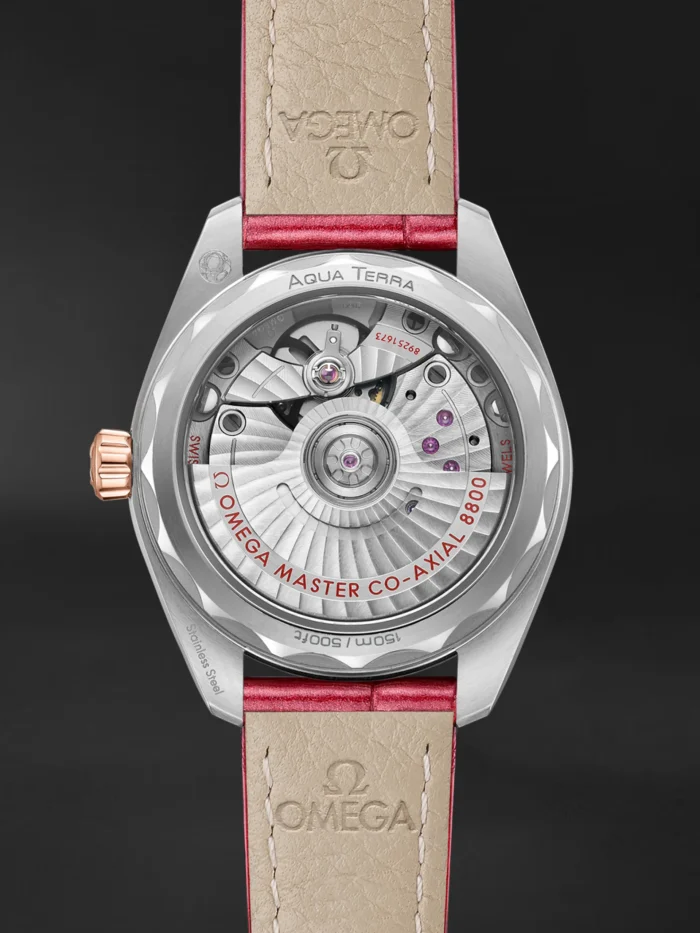 Seamaster Aqua Terra - Görsel 2