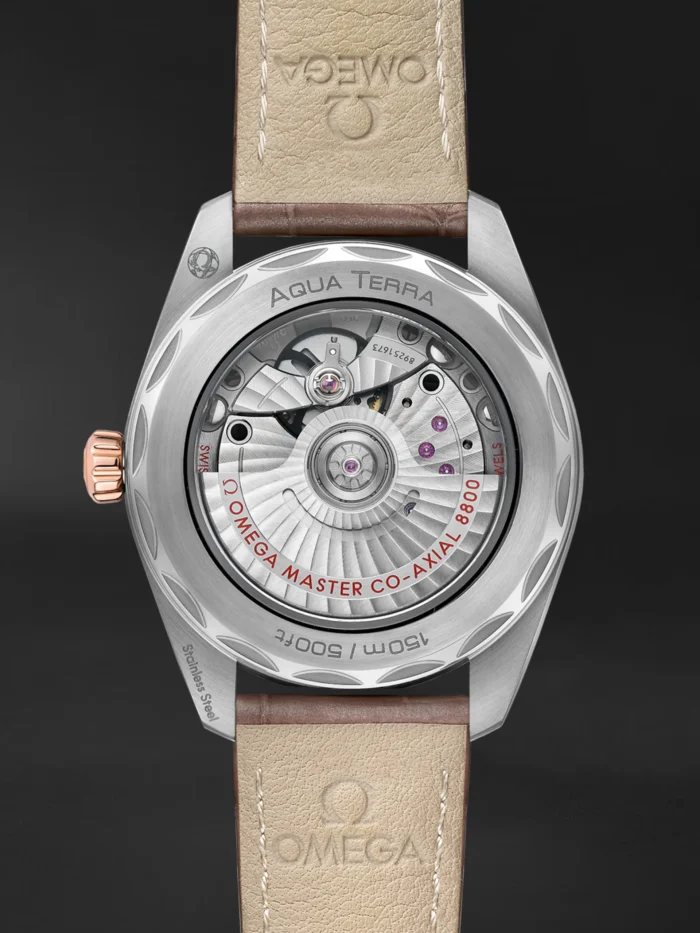 Seamaster Aqua Terra - Görsel 2