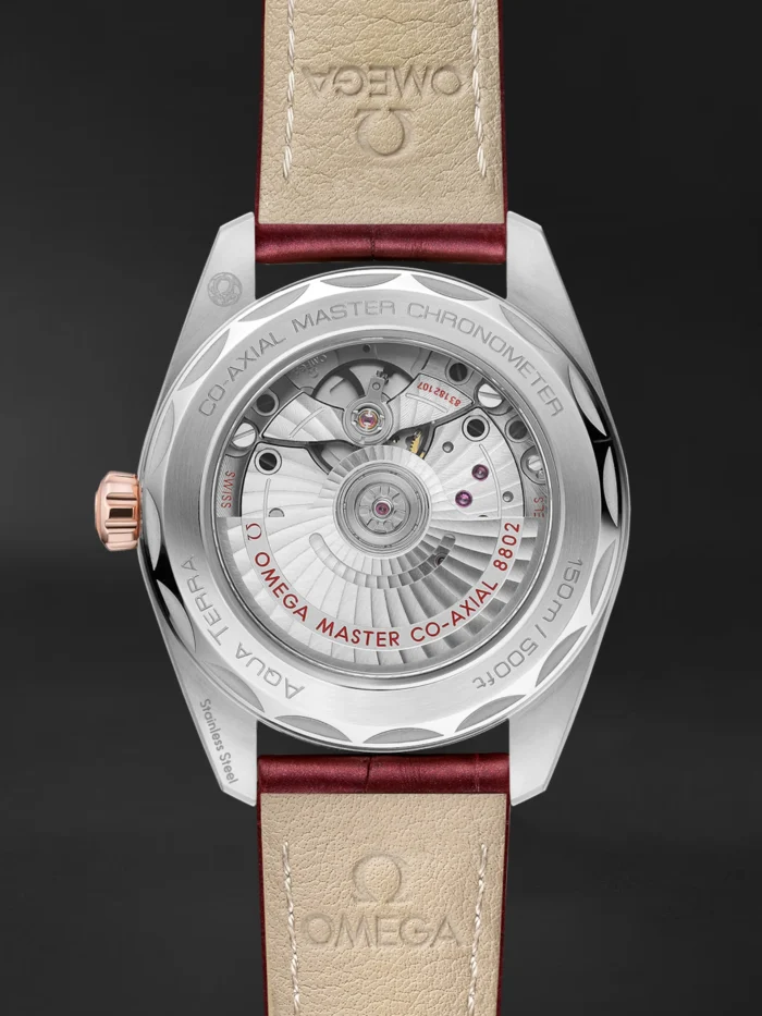 Seamaster Aqua Terra - Görsel 3