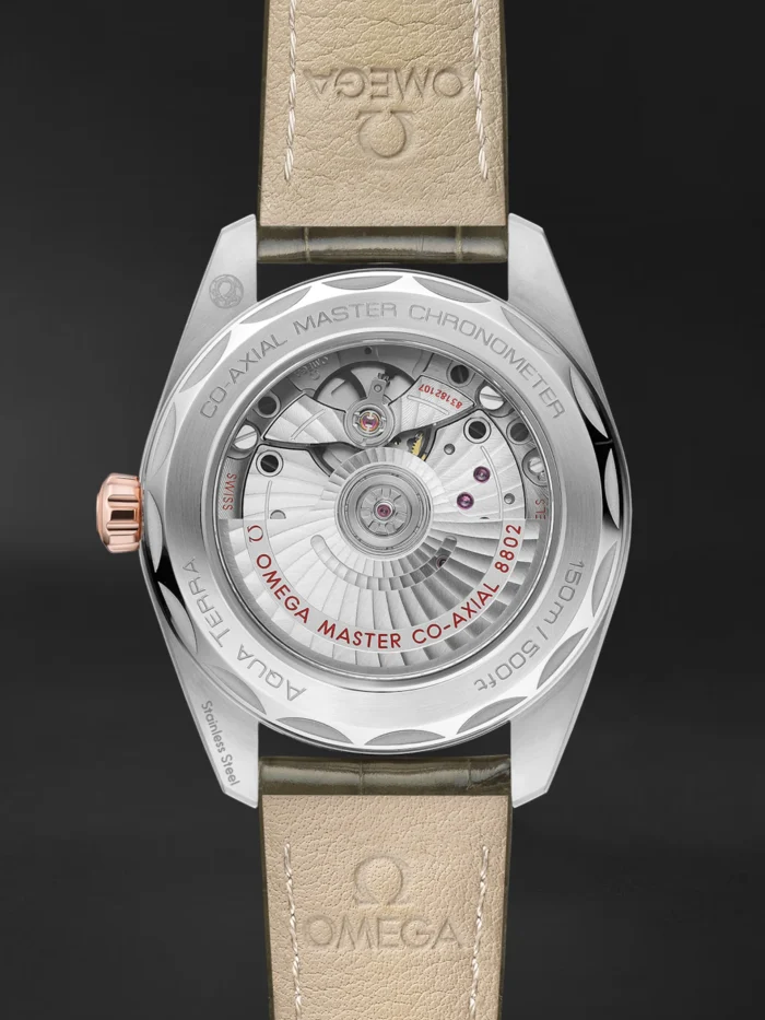 Seamaster Aqua Terra - Görsel 2