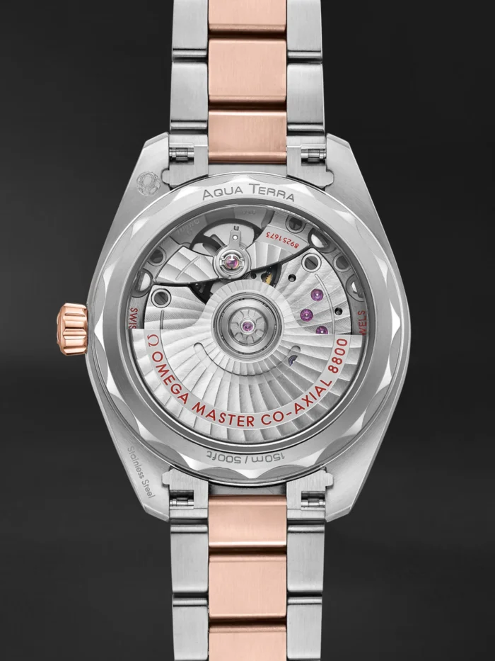 Seamaster Aqua Terra - Görsel 4