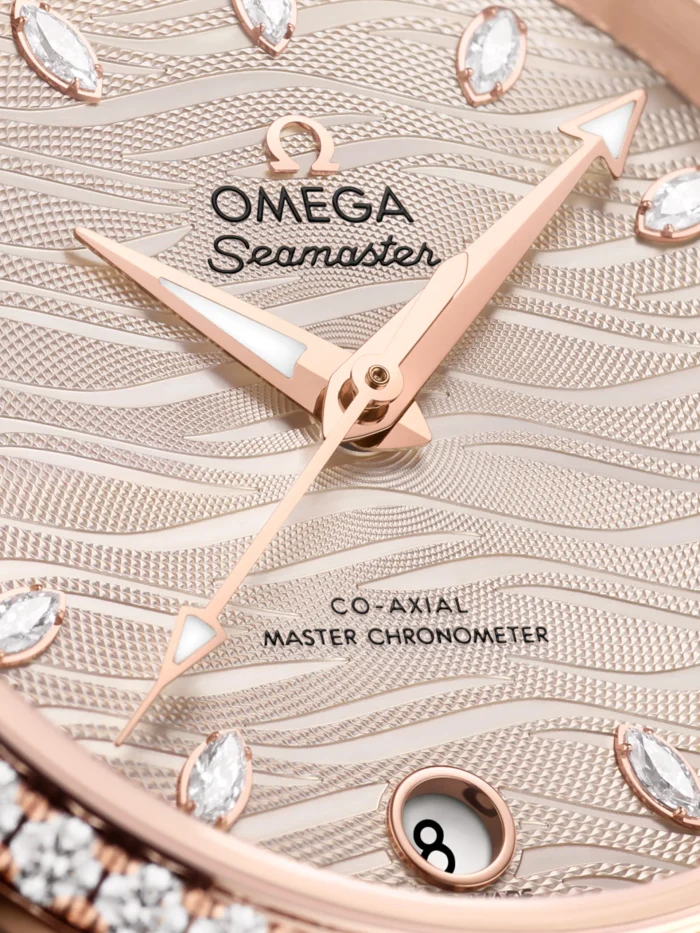 Seamaster Aqua Terra - Görsel 2