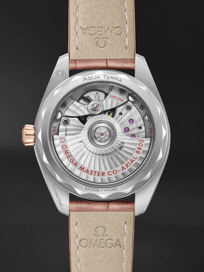 Seamaster Aqua Terra - Görsel 4