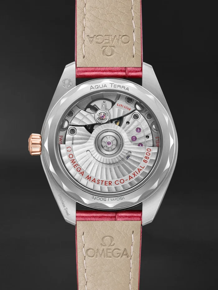 Seamaster Aqua Terra - Görsel 3