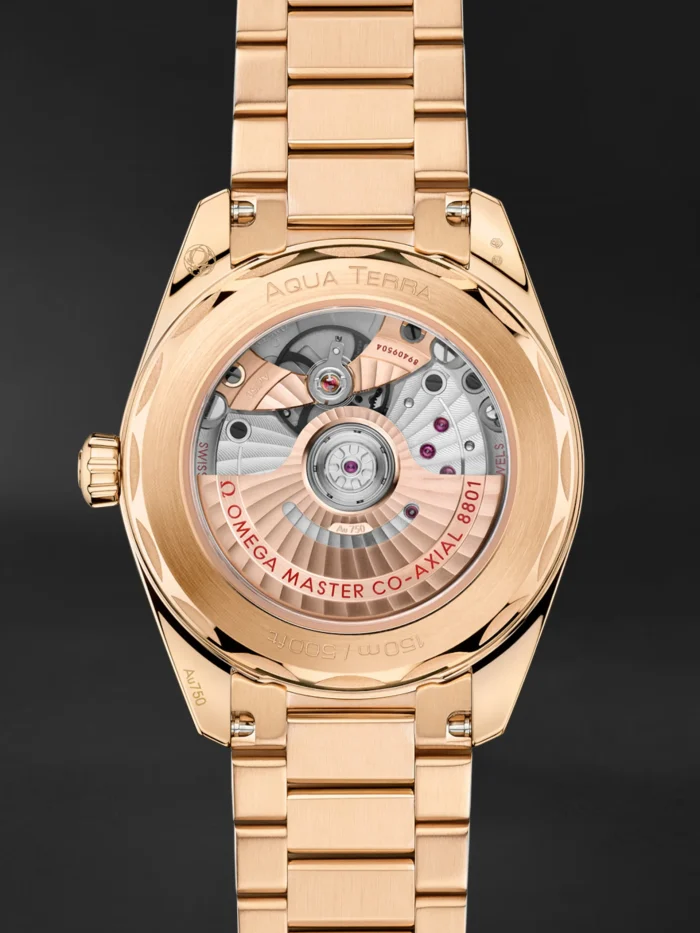 Seamaster Aqua Terra Shades - Görsel 4