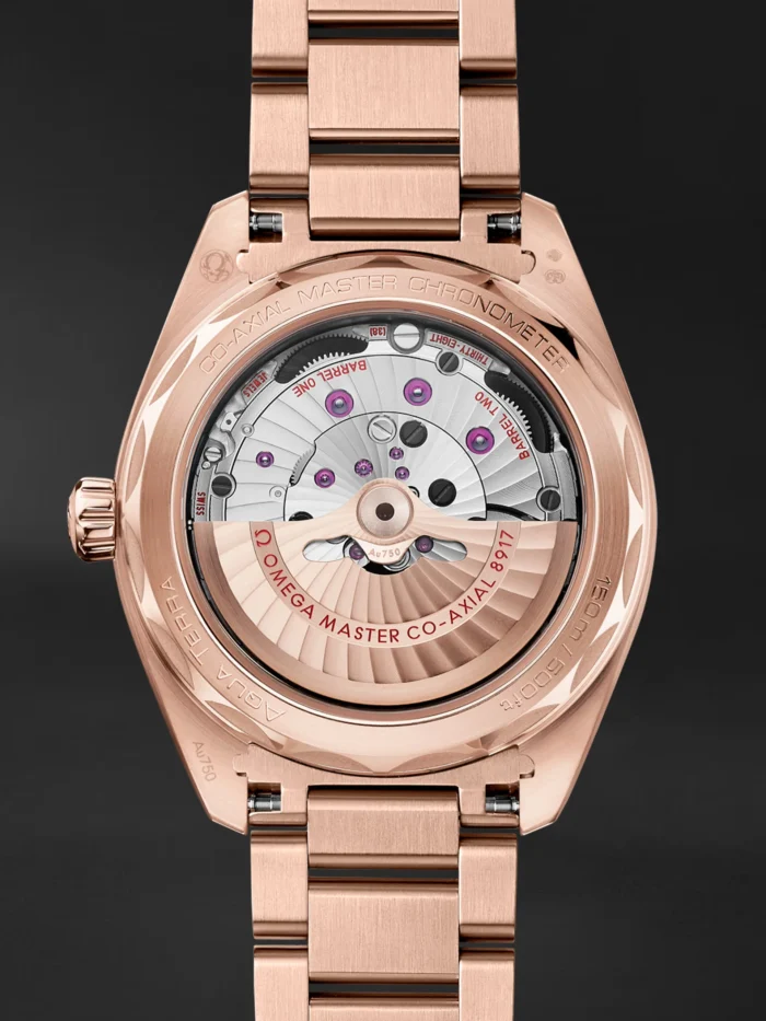 Seamaster Aqua Terra - Görsel 2