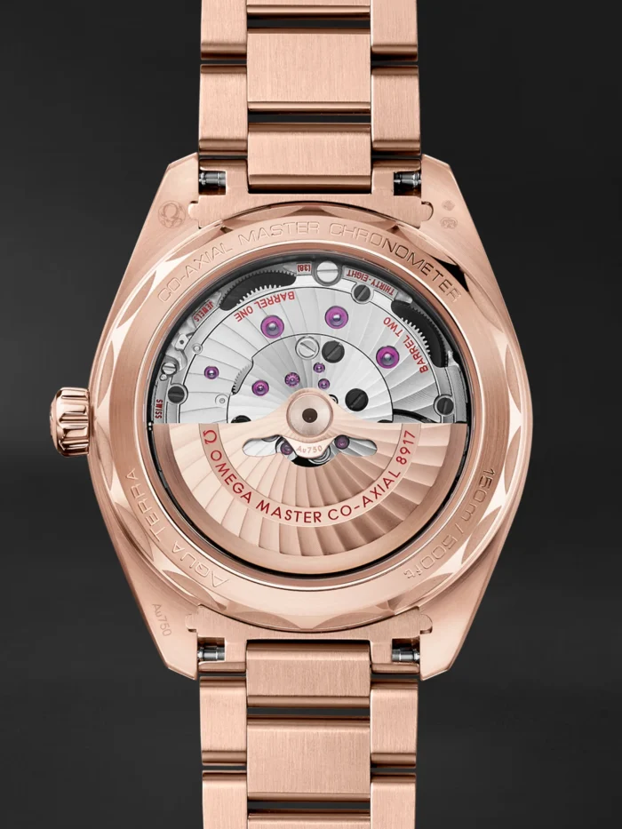 Seamaster Aqua Terra - Görsel 3