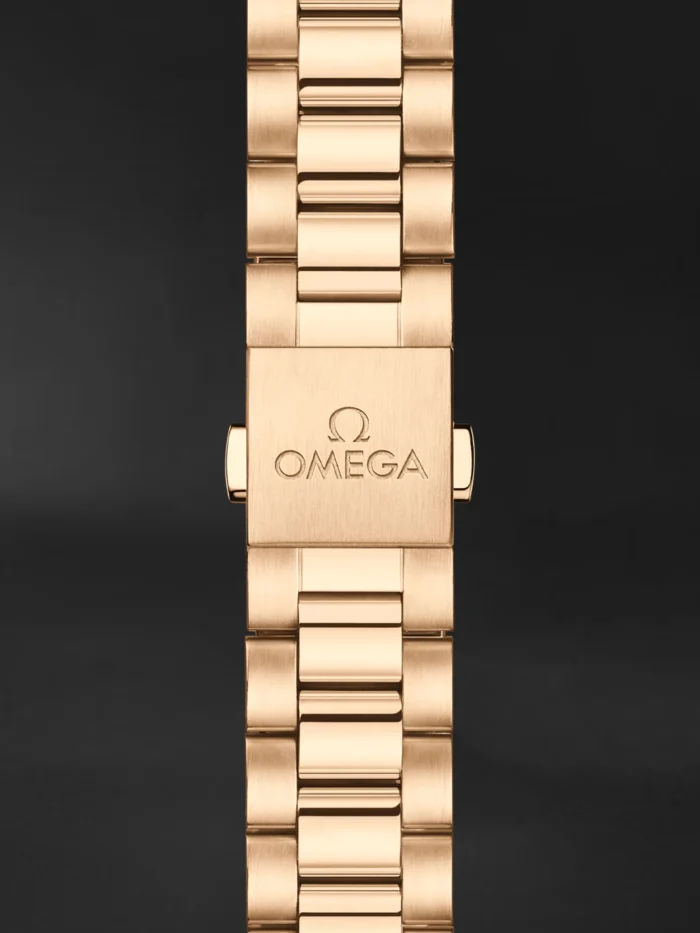 Seamaster Aqua Terra - Görsel 4