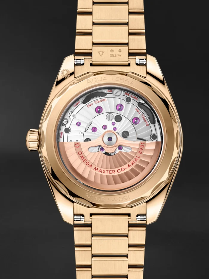 Seamaster Aqua Terra - Görsel 6