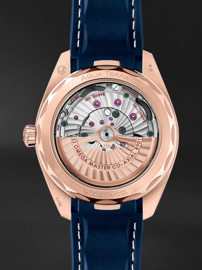 Seamaster Aqua Terra - Görsel 2