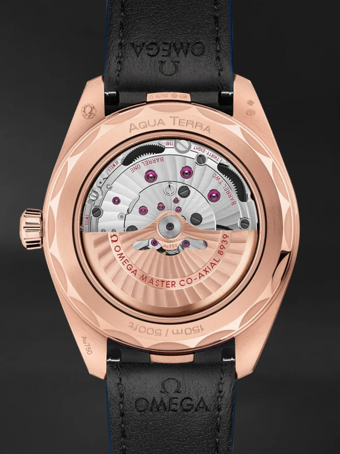 Seamaster Aqua Terra - Görsel 2