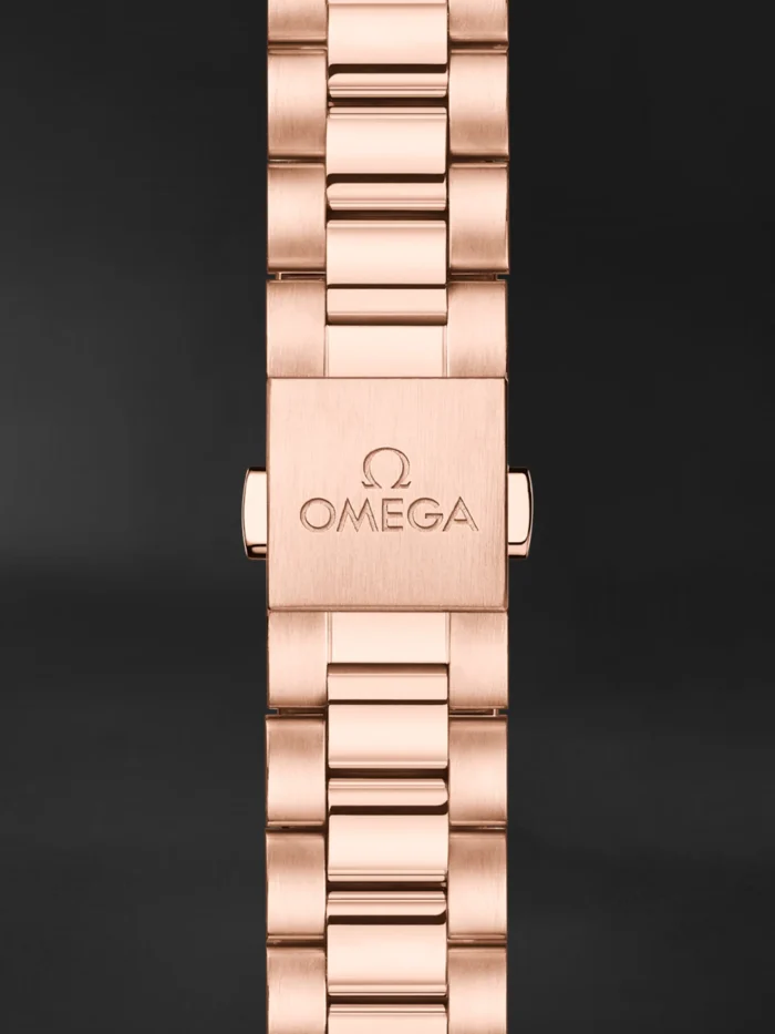 Seamaster Aqua Terra - Görsel 3