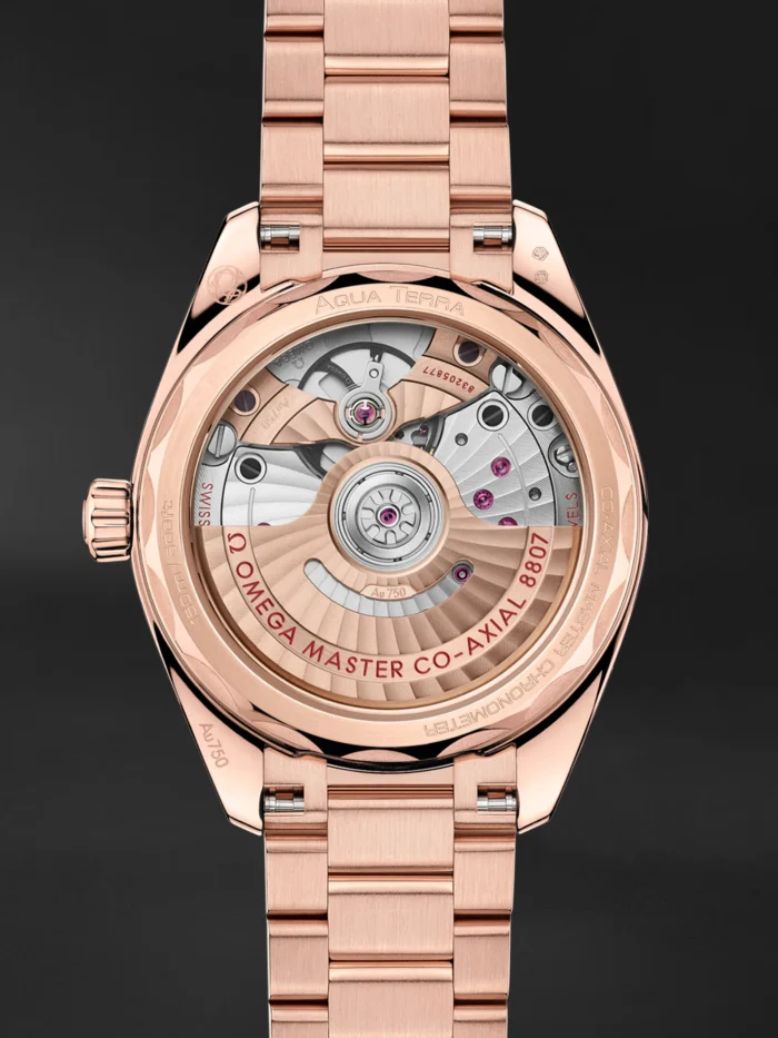 Seamaster Aqua Terra - Görsel 2