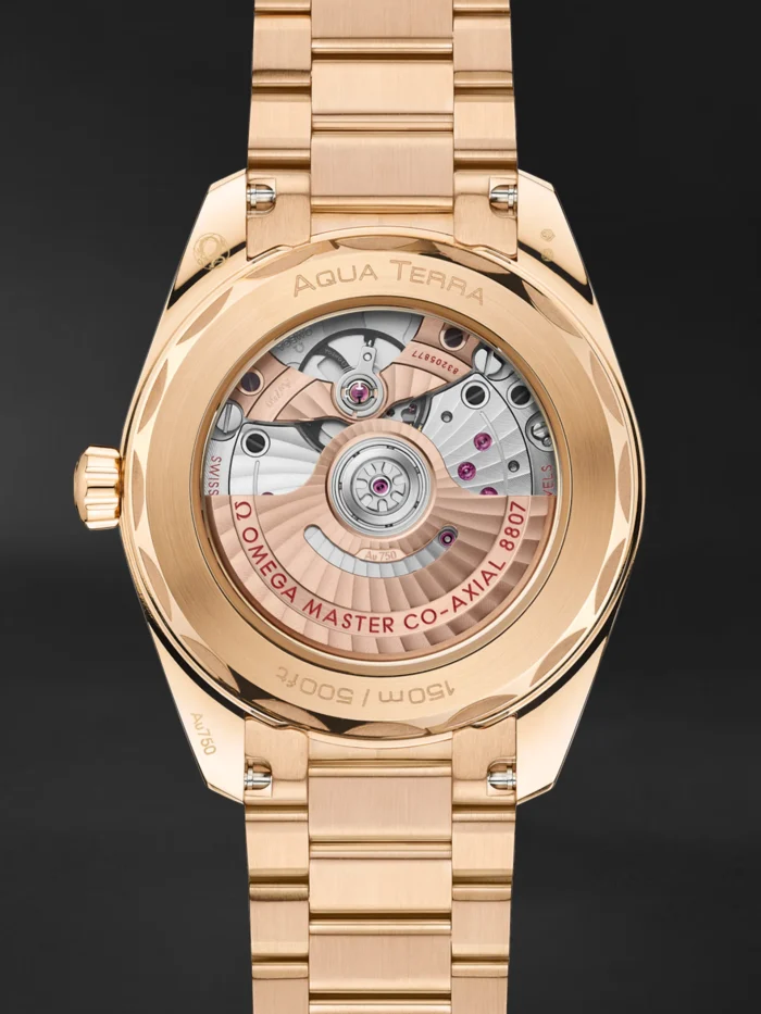 Seamaster Aqua Terra - Görsel 2