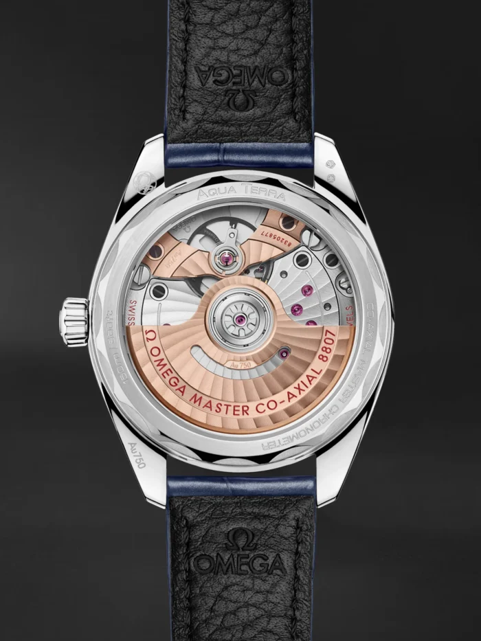 Seamaster Aqua Terra - Görsel 2
