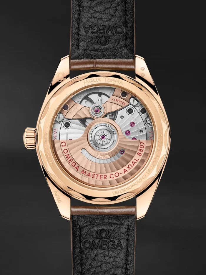 Seamaster Aqua Terra - Görsel 2