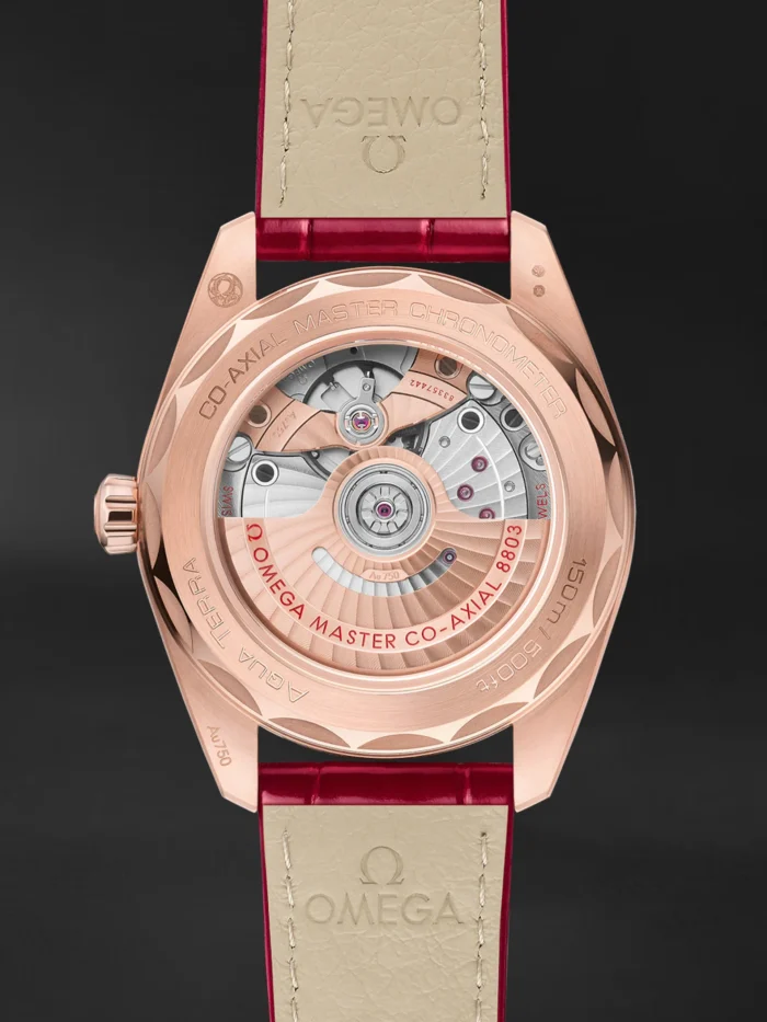 Seamaster Aqua Terra - Görsel 2