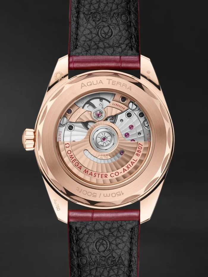 Seamaster Aqua Terra - Görsel 2
