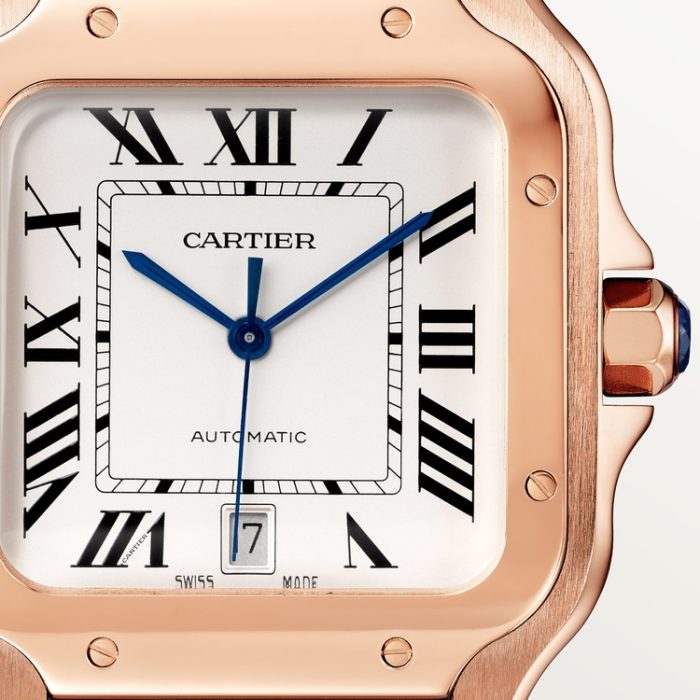 SANTOS DE CARTIER saat - Görsel 7