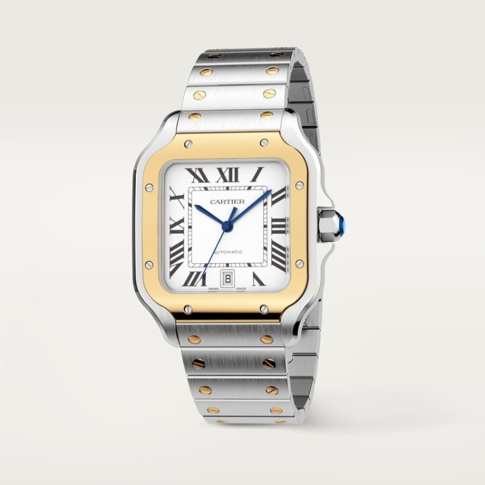 SANTOS DE CARTIER saat - Görsel 3