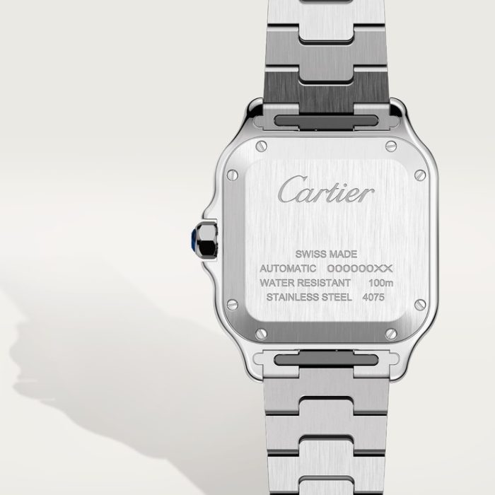 SANTOS DE CARTIER saat - Görsel 7