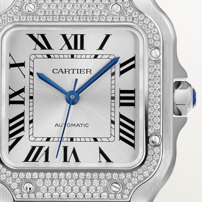 SANTOS DE CARTIER saat - Görsel 9