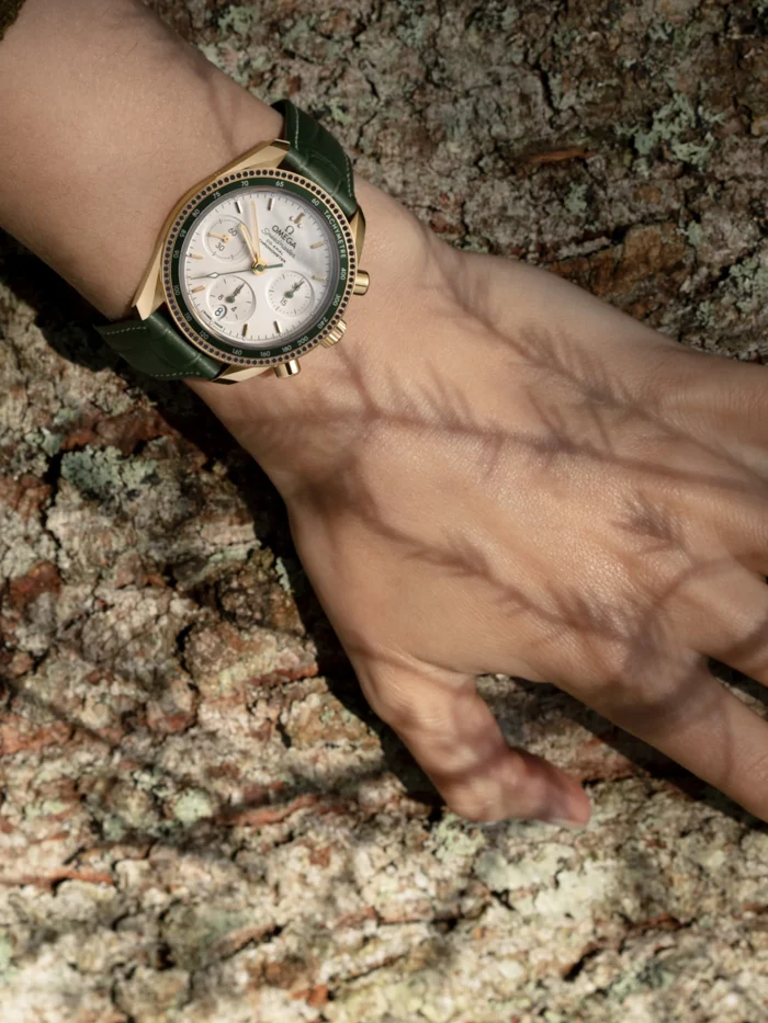 Speedmaster 38 - Görsel 2