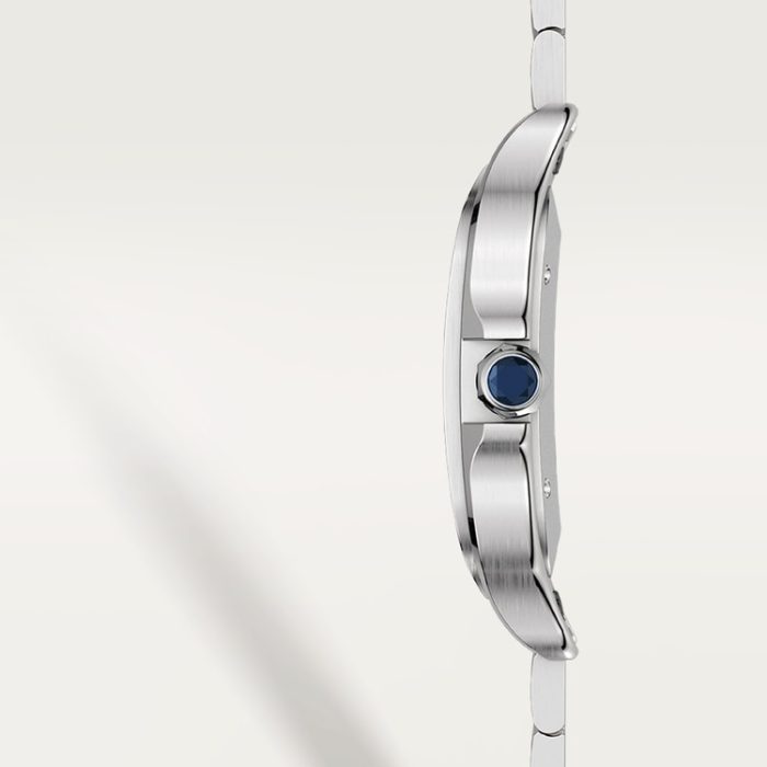 SANTOS DE CARTIER saat - Görsel 9