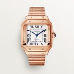SANTOS DE CARTIER saat